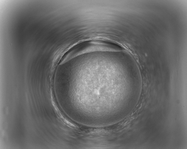 X0000065240097200602211224