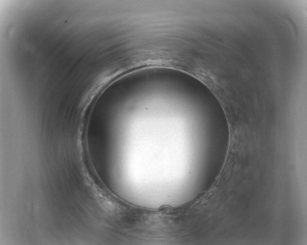 X0000065240098200602211224