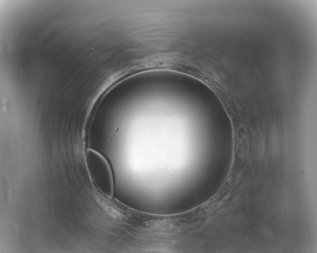 X0000065240100200602211224