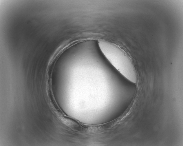 X0000065240101200602211224