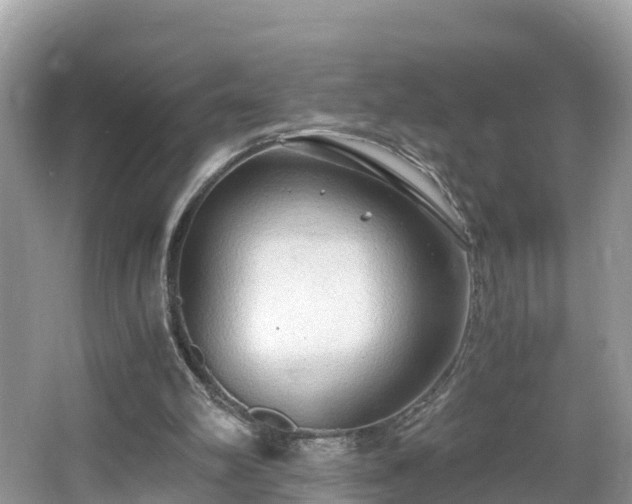 X0000065240102200602211224