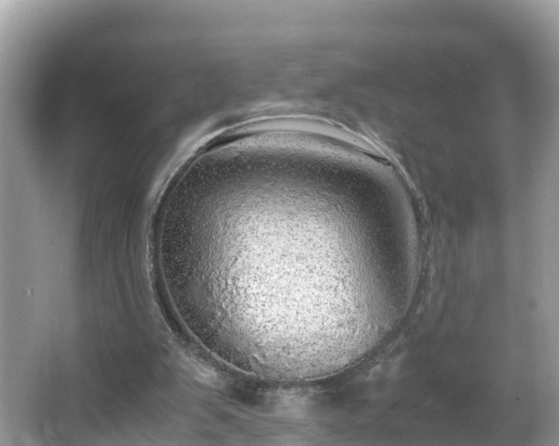 X0000065240103200602211224