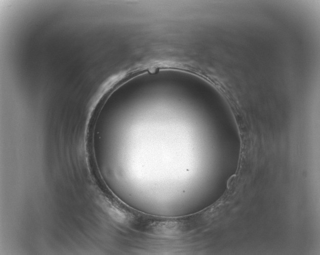 X0000065240104200602211224