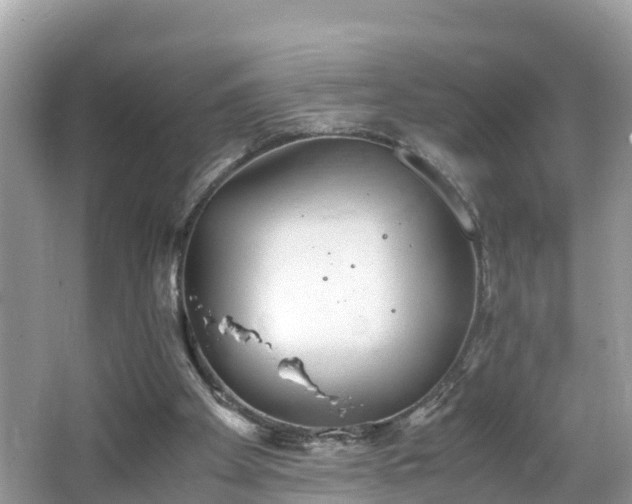 X0000065240105200602211224