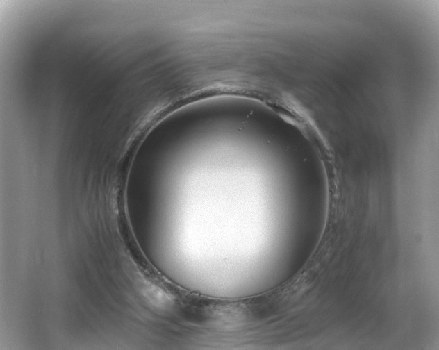 X0000065240106200602211224