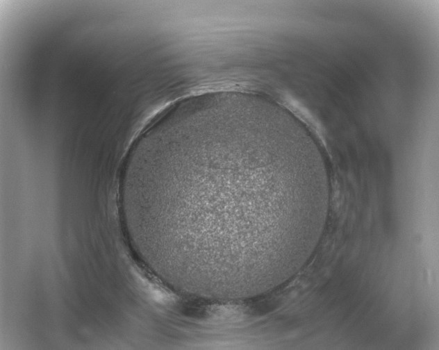 X0000065240107200602211224