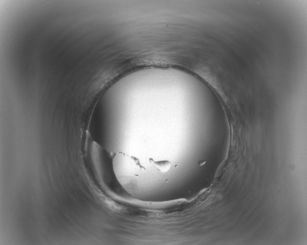 X0000065240109200602211224