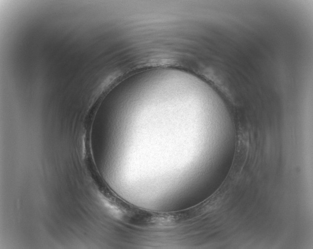 X0000065240110200602211224