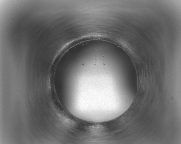 X0000065240112200602211224