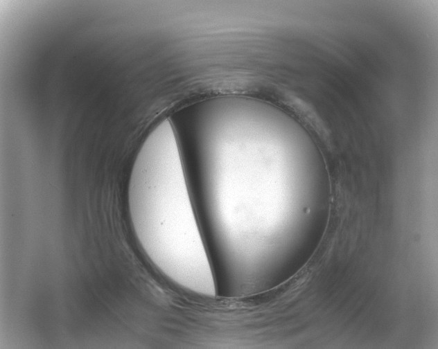 X0000065240113200602211224