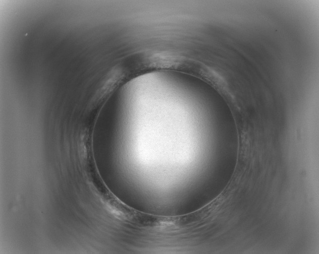 X0000065240114200602211224