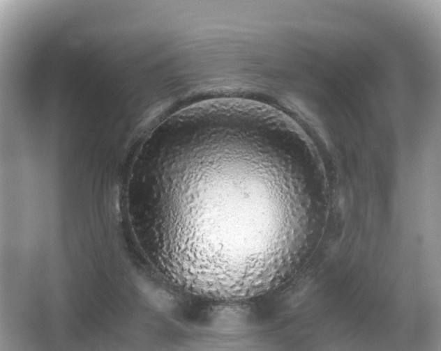 X0000065240115200602211224