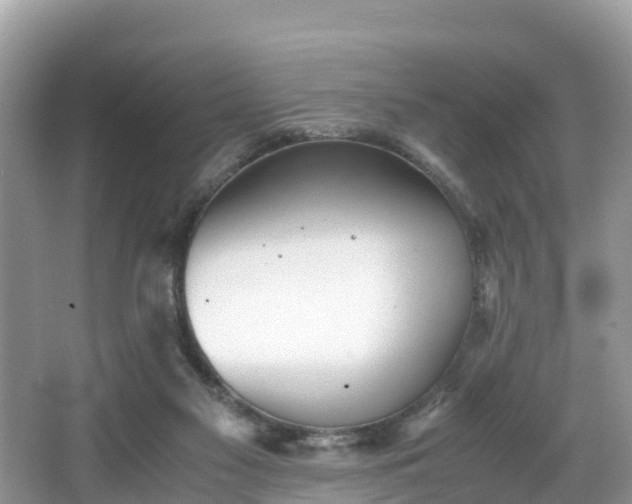 X0000065240117200602211224