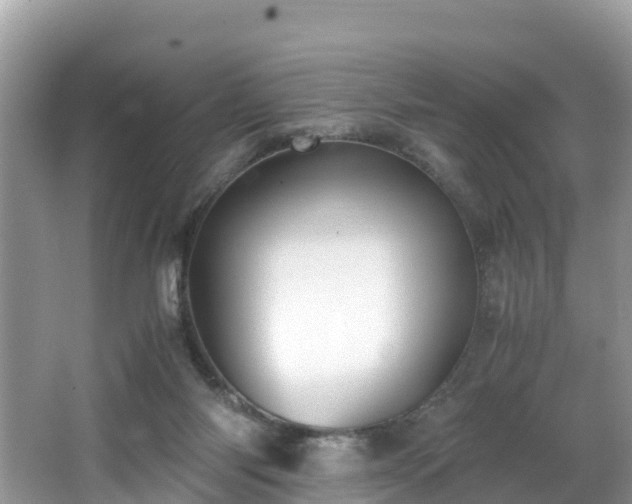 X0000065240118200602211224