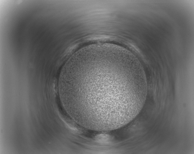 X0000065240119200602211224