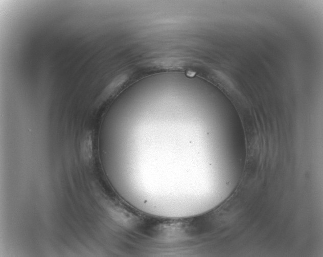 X0000065240120200602211224