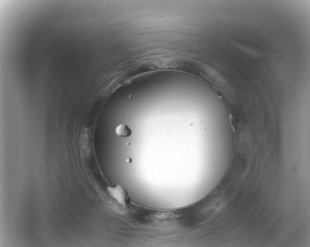 X0000065240121200602211224