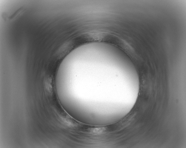 X0000065240122200602211224