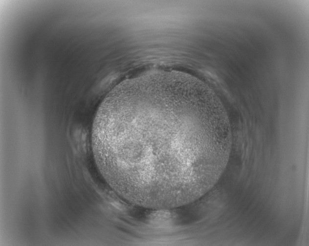 X0000065240123200602211223