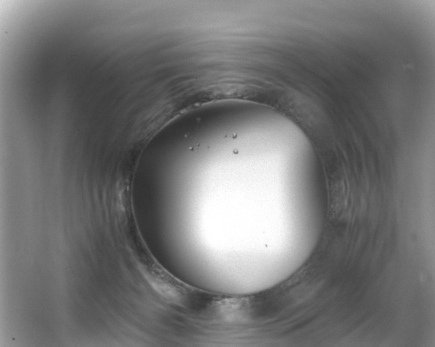 X0000065240126200602211223