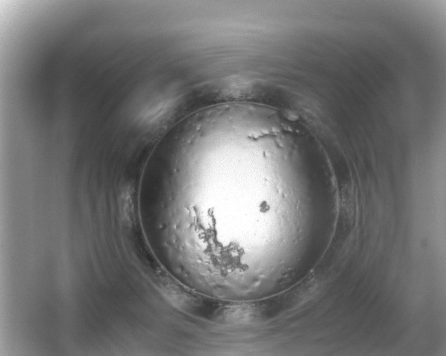 X0000065240127200602211223