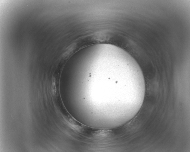 X0000065240128200602211223