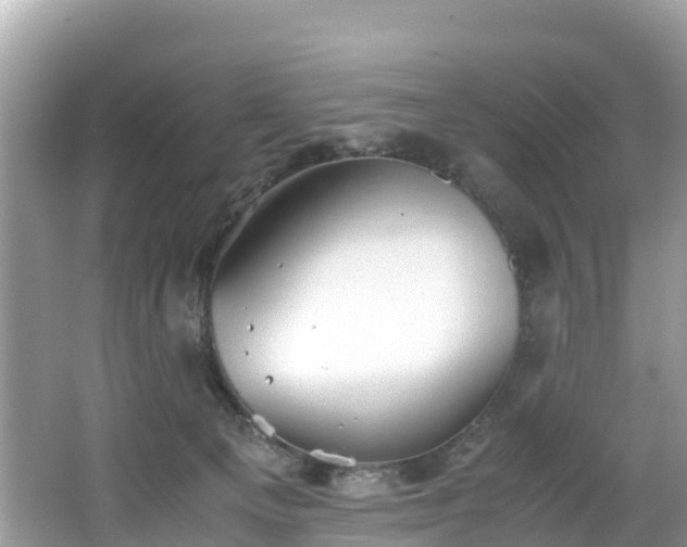 X0000065240129200602211223