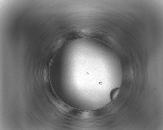 X0000065240130200602211223