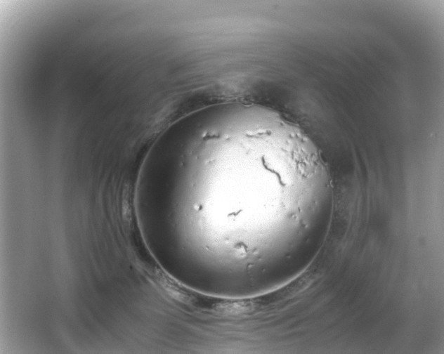 X0000065240131200602211223