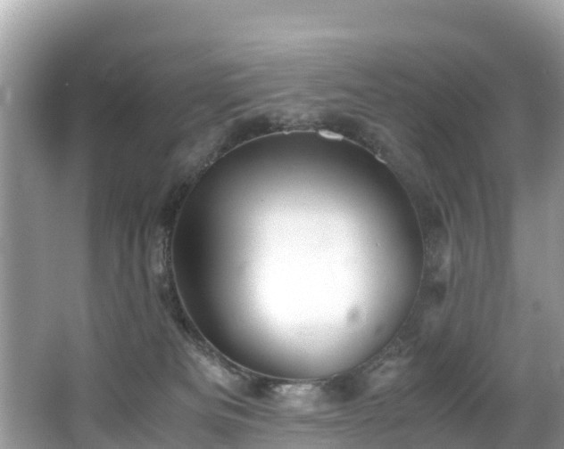 X0000065240133200602211223