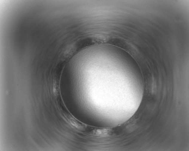 X0000065240134200602211223