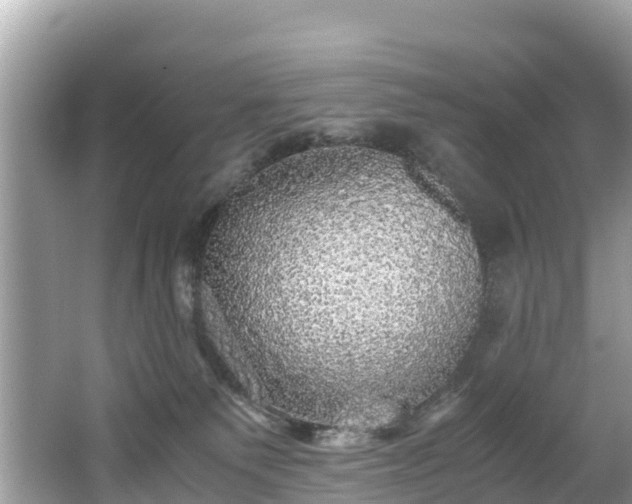 X0000065240135200602211223