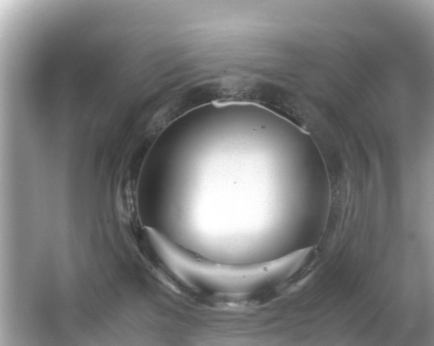 X0000065240137200602211223