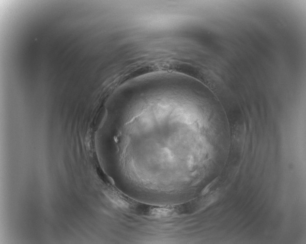 X0000065240139200602211223