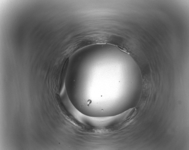 X0000065240141200602211223