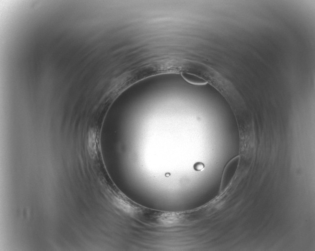 X0000065240142200602211223