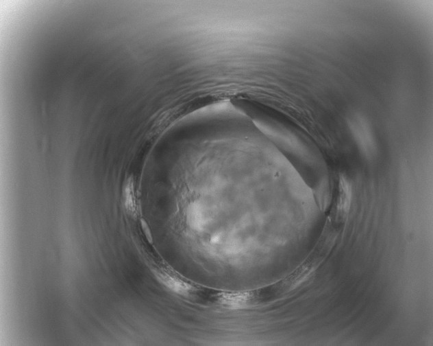 X0000065240143200602211223