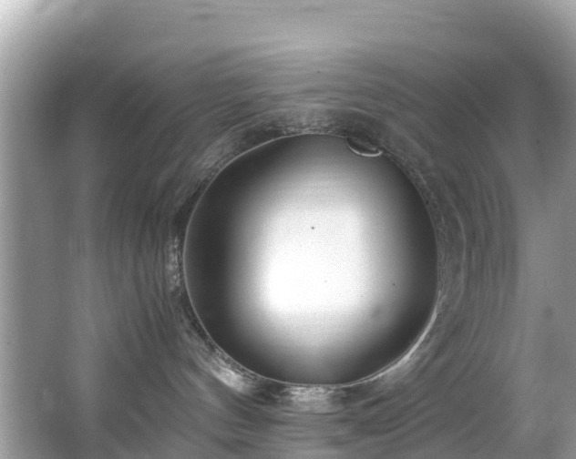 X0000065240144200602211223