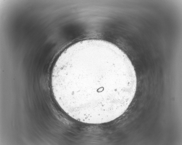 X0000065240146200602211222