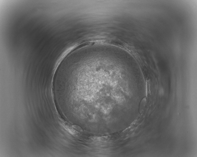 X0000065240147200602211222