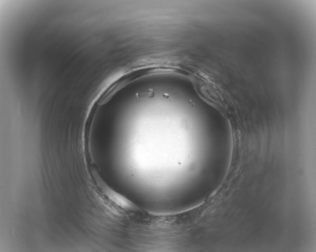 X0000065240148200602211222