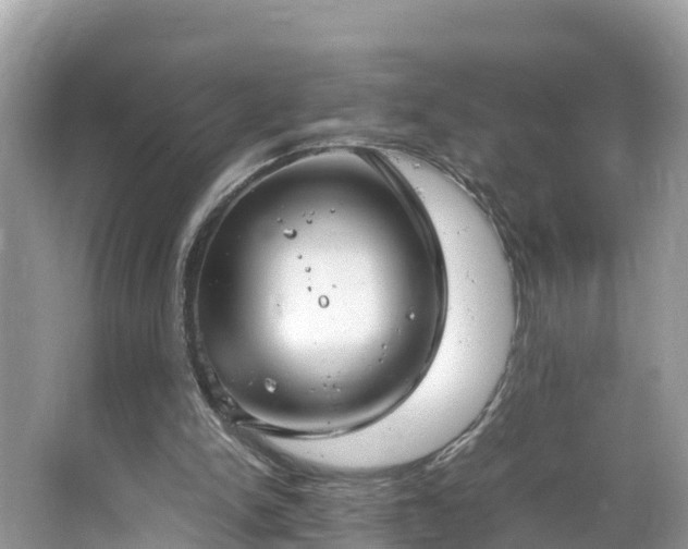 X0000065240150200602211222