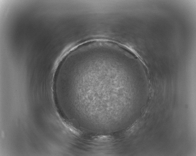 X0000065240151200602211222