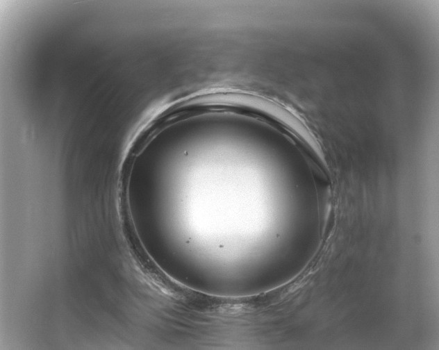 X0000065240152200602211222