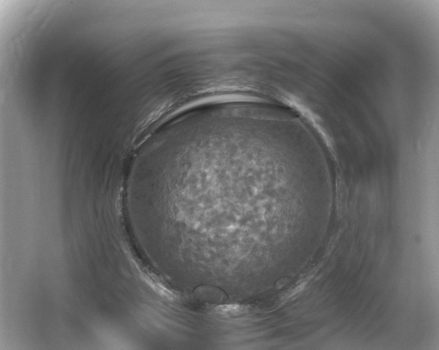 X0000065240153200602211222