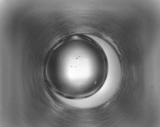 X0000065240154200602211222