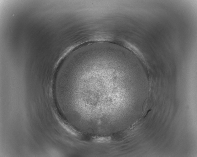 X0000065240155200602211222