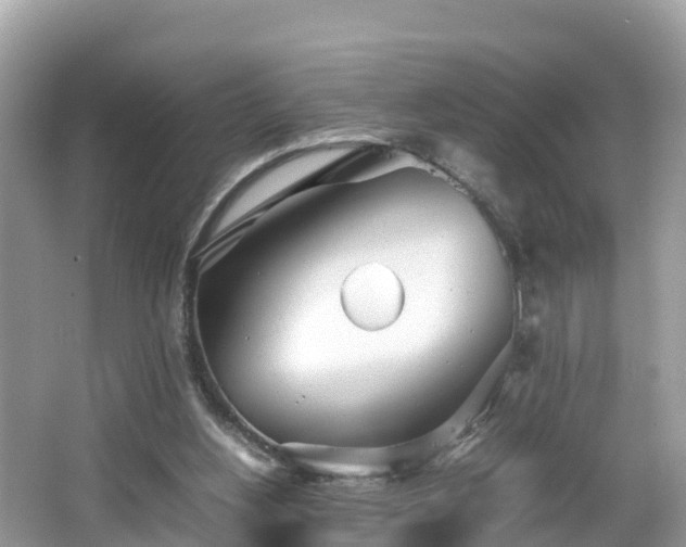 X0000065240156200602211222