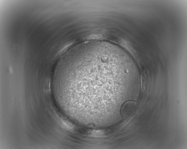 X0000065240157200602211222