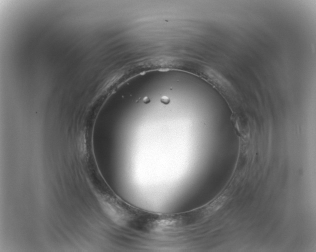 X0000065240158200602211222